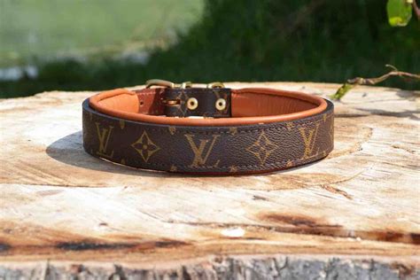 collar lv perro|Louis Vuitton.